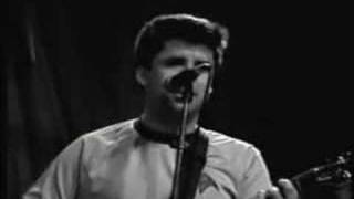 The Ziggens- Badfish